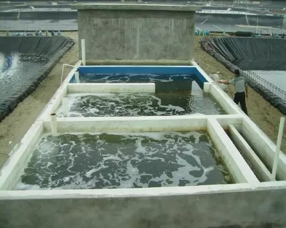 農(nóng)業(yè)種植使用臭氧發(fā)生器進行殺菌消毒的應用方案