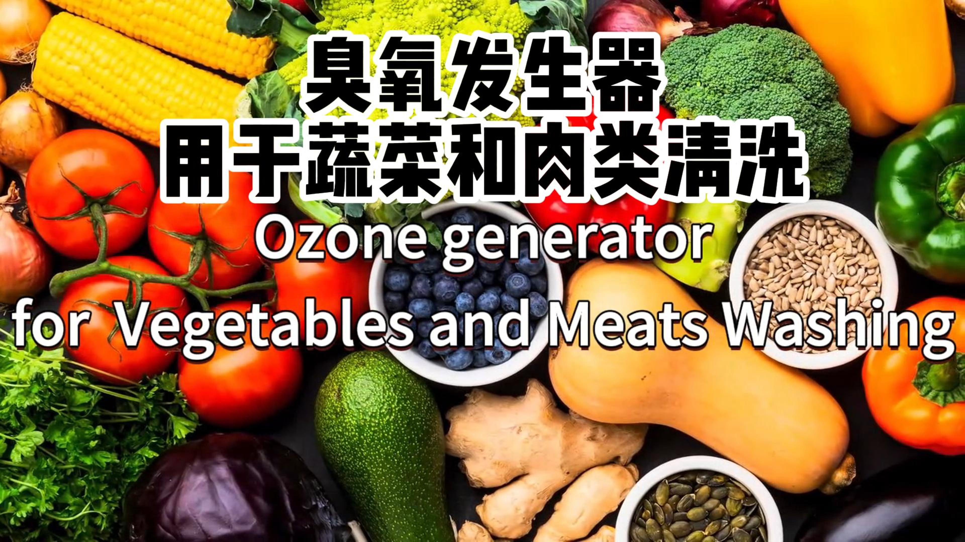 臭氧發(fā)生器在食品加工和儲(chǔ)存過(guò)程中用于蔬菜、水果和肉類的消毒